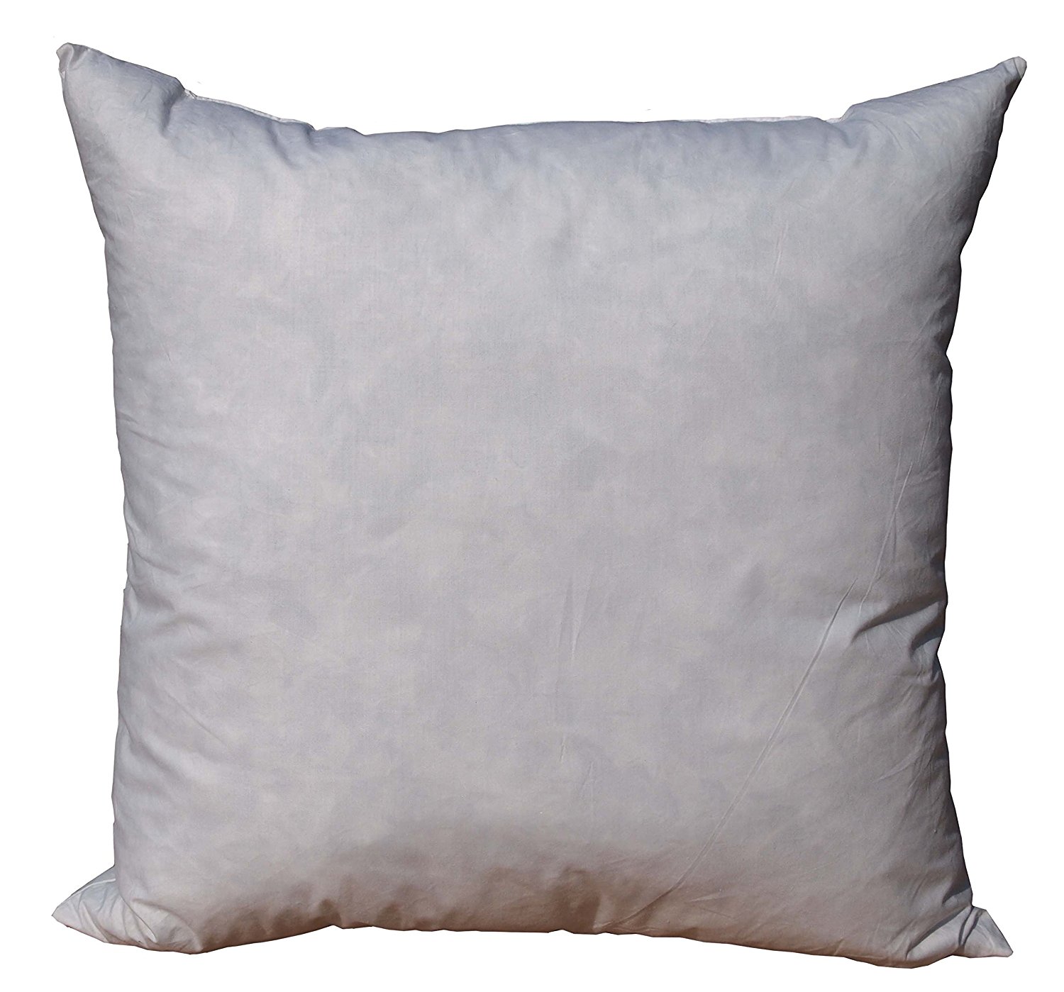 feather pillow form