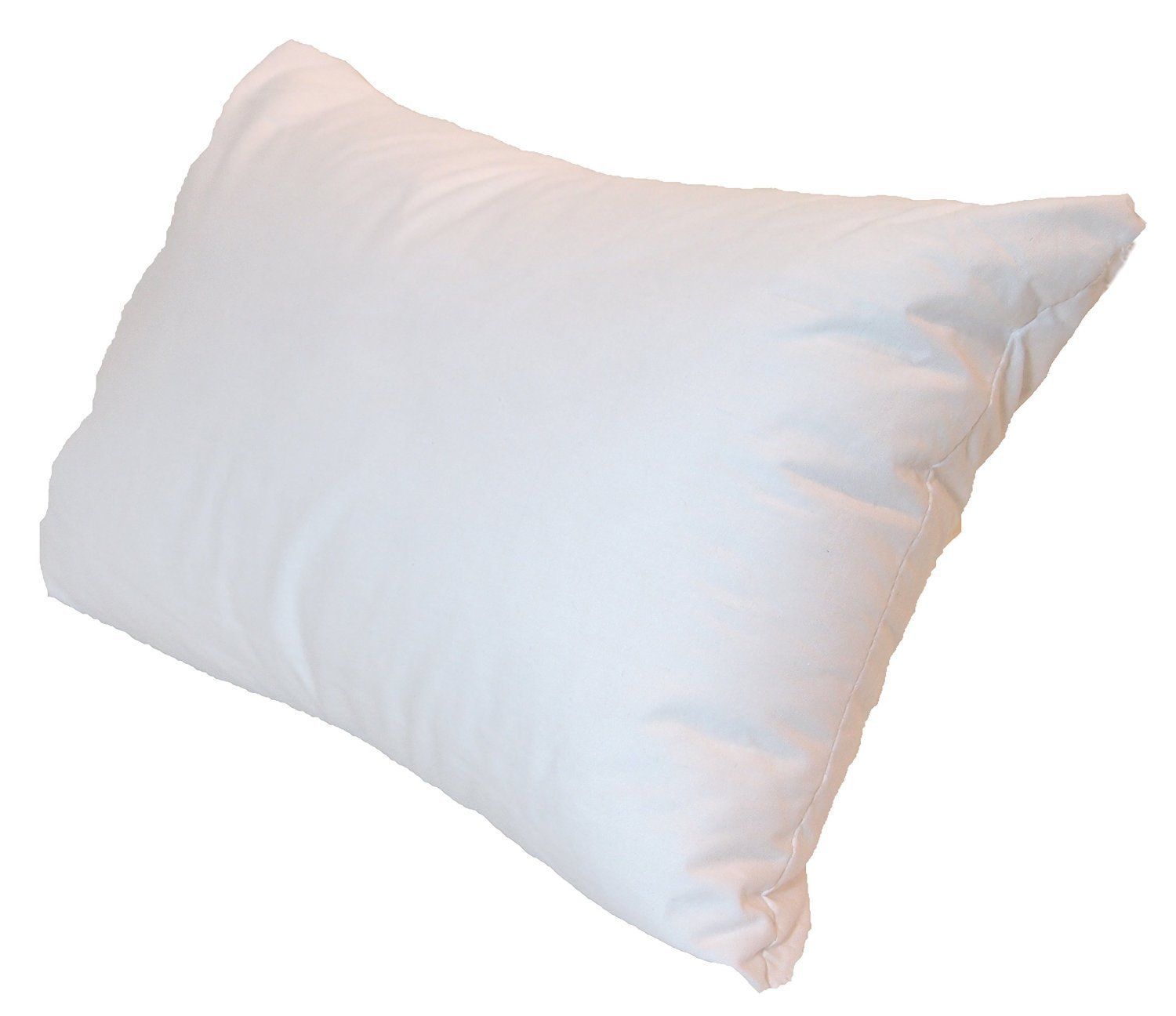 Poly-Fil® Basic™ 2ct. Pillow Inserts, 18 x 18