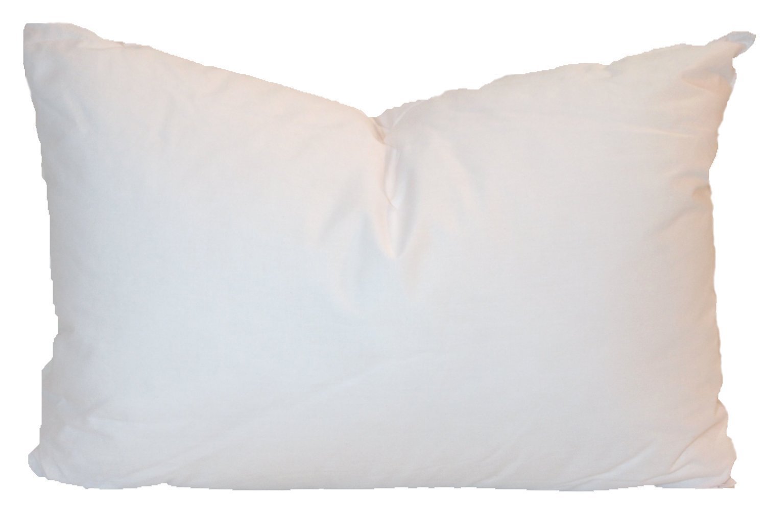 down pillow insert